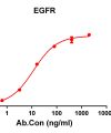 antibody-DME100128 EGFR ELISA Fig1