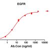 antibody-DME100129 EGFR ELISA Fig1