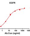 antibody-DME100129 EGFR ELISA Fig1