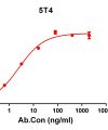 antibody-DME100138 5T4 ELISA Fig1