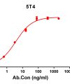 antibody-DME100139 5T4 ELISA Fig1