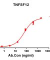 antibody-DME100140 TNFSF12 ELISA Fig1