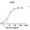 antibody-DME100145 CD46 ELISA Fig1