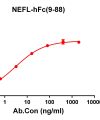 antibody-DME100198 NEFL9 88 ELISA Fig1