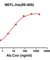 antibody-DME100199 NEFL89 400 ELISA Fig1