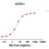 antibody-DME100214 UCHL1 ELISA Fig1