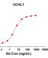 antibody-DME100214 UCHL1 ELISA Fig1