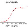 antibody-DME100216 GFAP68 377 ELISA Fig1
