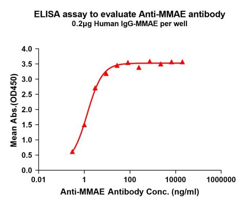 antibody-DME101004 MMAE Fig.1 Elisa 1