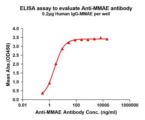 antibody-DME101005 MMAE Fig.1 Elisa 1