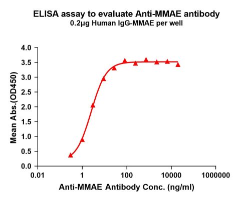 antibody-DME101006 MMAE Fig.1 Elisa 1