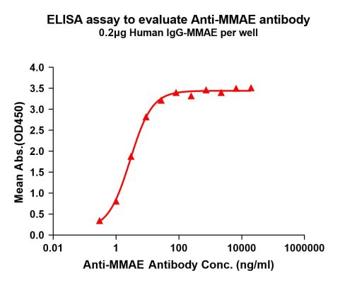 antibody-DME101007 MMAE Fig.1 Elisa 1