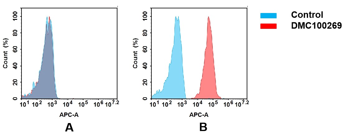 dmc100269-cd44-fc2.jpg