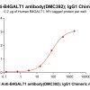 antibody-dmc100392b b4galt1 elisa1