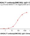 antibody-dmc100392b b4galt1 elisa1