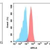 antibody-dmc100608 mica fc1