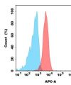 antibody-dmc100608 mica fc1