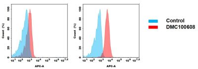 antibody-dmc100608 mica fc1