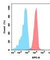 antibody-dmc100637 cdh17 fc1