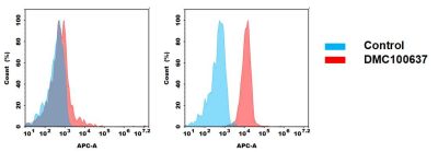 antibody-dmc100637 cdh17 fc1