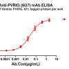 antibody-dmc101091 pvrig elisa1