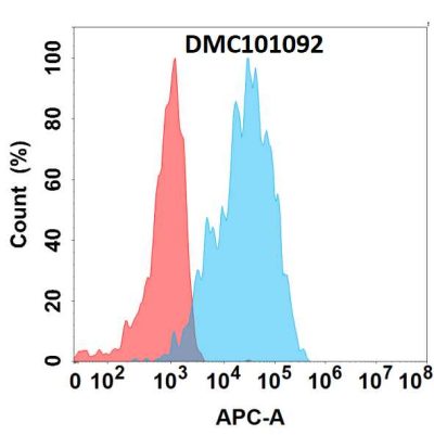 antibody-dmc101092 pglyrp1 fc1