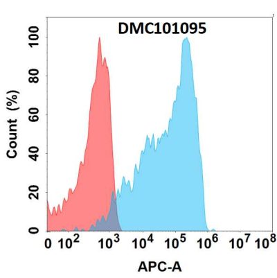 antibody-dmc101095 tfrc fc1