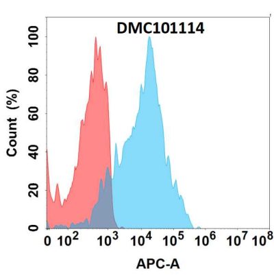 antibody-dmc101114 cd205 fc1