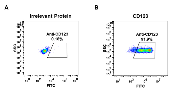 dme100030-cd123-fc1.jpg