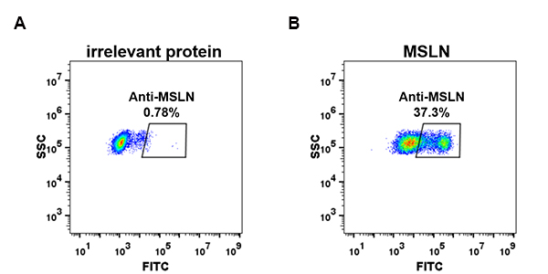 dme100073-msln-fc1.jpg