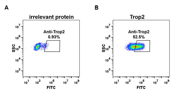 dme100074-trop2-fc1.jpg