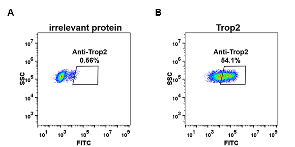 dme100076-trop2-fc1.jpg