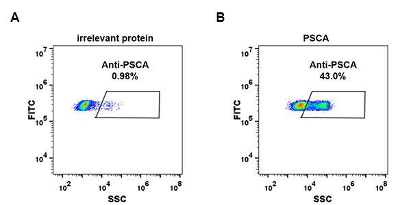 dme100087-psca-fc1.jpg