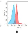 antibody-dme100091b gprc5d fc1