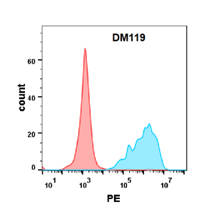 dme100119-cd7-fc1.jpg