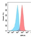 antibody-dme100580 her3 fc1