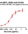 antibody-dme100791 nefl6d8 elisa1