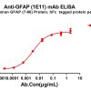antibody-dme100803 gfap1e11 elisa1