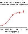 antibody-dme100803 gfap1e11 elisa1