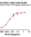 antibody-dme100843 uchl12a4 elisa1