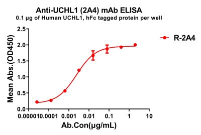 antibody-dme100843 uchl12a4 elisa1