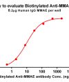 antibody-dme101006b mmae elisa1