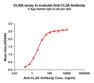 antibody-dme101021 cl2a elisa1