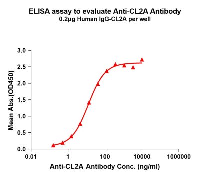 antibody-dme101022 cl2a elisa1