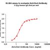 antibody-dme101024 dxd elisa1