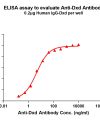 antibody-dme101024 dxd elisa1