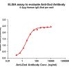 antibody-dme101026 dxd elisa1