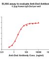 antibody-dme101026 dxd elisa1