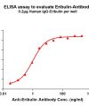 antibody-dme101050 eribulin elisa1