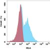 antibody-dme101144p g4s fc1